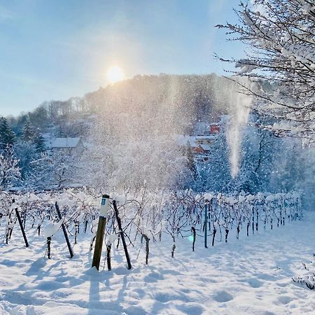 Halbstueck - Ferienwohnungen Am Kropsbachpark Sankt Martin Esterno foto